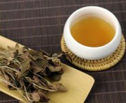金線蓮泡茶一次放幾根？