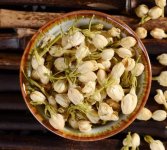 鮮茉莉花怎么炮制成茶？