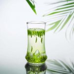 正宗的竹葉青產(chǎn)自哪里？