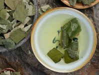 荷葉茶為什么叫短命茶？