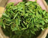 茶樹產(chǎn)量高嗎？一畝產(chǎn)多少斤？