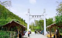 5月12日：徒步貢茶古道，天然氧吧，綠色之旅